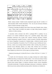 Sisteminis požiūris į darbo vietų vertinimą 17 puslapis