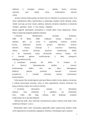 Sisteminis požiūris į darbo vietų vertinimą 3 puslapis