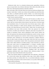 Sisteminis požiūris į darbo vietų vertinimą 4 puslapis