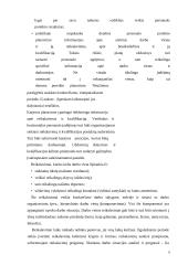 Sisteminis požiūris į darbo vietų vertinimą 8 puslapis