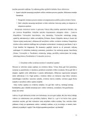 Sisteminis požiūris į darbo vietų vertinimą 10 puslapis