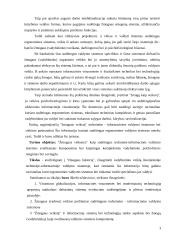 Ergonominiai darbo aplinkos veiksniai 3 puslapis
