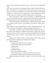 Į klientą orientuotos įmonės personalo sistemos 11 puslapis