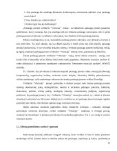 Į klientą orientuotos įmonės personalo sistemos 12 puslapis