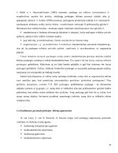 Į klientą orientuotos įmonės personalo sistemos 18 puslapis