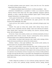 Į klientą orientuotos įmonės personalo sistemos 20 puslapis