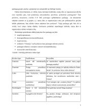 Į klientą orientuotos įmonės personalo sistemos 5 puslapis