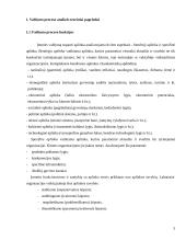 Valdymo veiklų analizė įmonėje UAB „Gudobele“ 3 puslapis