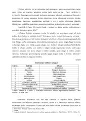 Personalo ugdymo vertinimas 9 puslapis