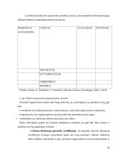 Personalo valdymo tobulinimo strategijos 14 puslapis