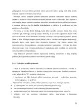 Personalo valdymo tobulinimo strategijos 19 puslapis