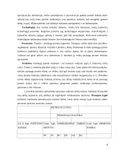 Personalo valdymo tobulinimo strategijos 4 puslapis