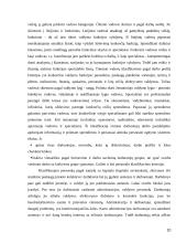 Personalo valdymo tobulinimo strategijos 10 puslapis