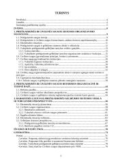 Priešgaisrinės ir civilinės saugos reforma Lietuvoje 2 puslapis