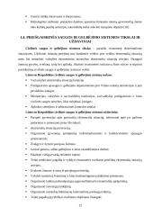 Priešgaisrinės ir civilinės saugos reforma Lietuvoje 11 puslapis