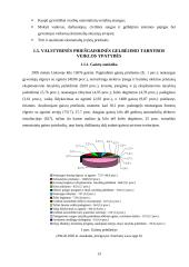 Priešgaisrinės ir civilinės saugos reforma Lietuvoje 12 puslapis