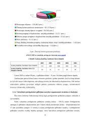Priešgaisrinės ir civilinės saugos reforma Lietuvoje 14 puslapis