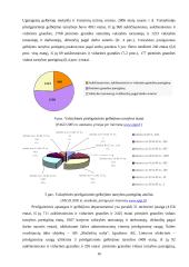 Priešgaisrinės ir civilinės saugos reforma Lietuvoje 15 puslapis
