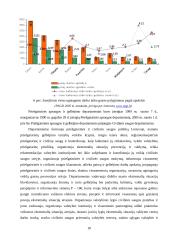 Priešgaisrinės ir civilinės saugos reforma Lietuvoje 17 puslapis