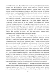 Priešgaisrinės ir civilinės saugos reforma Lietuvoje 18 puslapis