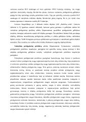 Priešgaisrinės ir civilinės saugos reforma Lietuvoje 19 puslapis