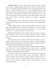 Priešgaisrinės ir civilinės saugos reforma Lietuvoje 20 puslapis