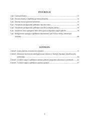 Priešgaisrinės ir civilinės saugos reforma Lietuvoje 3 puslapis