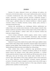 Priešgaisrinės ir civilinės saugos reforma Lietuvoje 5 puslapis