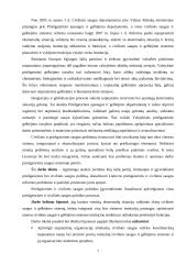 Priešgaisrinės ir civilinės saugos reforma Lietuvoje 6 puslapis