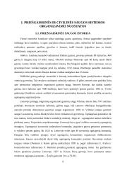 Priešgaisrinės ir civilinės saugos reforma Lietuvoje 8 puslapis