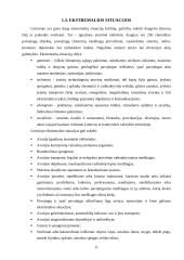 Priešgaisrinės ir civilinės saugos reforma Lietuvoje 10 puslapis