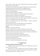 Valstybinės priešgaisrinės gelbėjimo tarnybos žmogiškųjų Išteklių valdymo analizė 17 puslapis