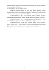 Valstybinės priešgaisrinės gelbėjimo tarnybos žmogiškųjų Išteklių valdymo analizė 19 puslapis