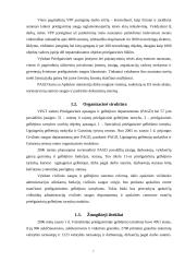 Valstybinės priešgaisrinės gelbėjimo tarnybos žmogiškųjų Išteklių valdymo analizė 7 puslapis