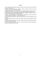 Valstybinės priešgaisrinės gelbėjimo tarnybos plėtros iki 2010 metų strategija  14 puslapis