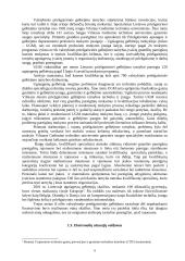 Valstybinės priešgaisrinės gelbėjimo tarnybos plėtros iki 2010 metų strategija  8 puslapis