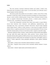 Privataus Lietuvos ekonomikos sektoriaus vystymosi problemos 2 puslapis