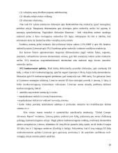 Privataus Lietuvos ekonomikos sektoriaus vystymosi problemos 12 puslapis