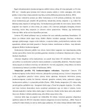 Privataus Lietuvos ekonomikos sektoriaus vystymosi problemos 13 puslapis