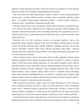 Privataus Lietuvos ekonomikos sektoriaus vystymosi problemos 17 puslapis