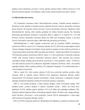 Privataus Lietuvos ekonomikos sektoriaus vystymosi problemos 19 puslapis