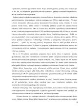 Privataus Lietuvos ekonomikos sektoriaus vystymosi problemos 20 puslapis