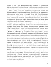 Privataus Lietuvos ekonomikos sektoriaus vystymosi problemos 4 puslapis