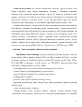 Privataus Lietuvos ekonomikos sektoriaus vystymosi problemos 5 puslapis