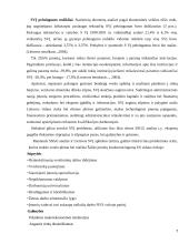 Privataus Lietuvos ekonomikos sektoriaus vystymosi problemos 7 puslapis