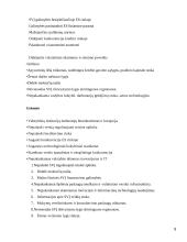 Privataus Lietuvos ekonomikos sektoriaus vystymosi problemos 8 puslapis