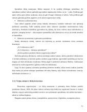 Valdymo proceso analizė  12 puslapis