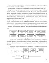 Valdymo proceso analizė  13 puslapis