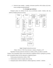 Valdymo proceso analizė  15 puslapis