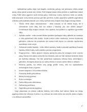 Valdymo proceso analizė  17 puslapis